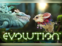 Игровой автомат Evolution